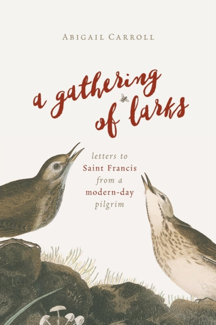 Binding: Paperback
Description: Who was Saint Francis? Today he is most often a sweet ceramic statue in a garden a sentimentalized romantic figure.