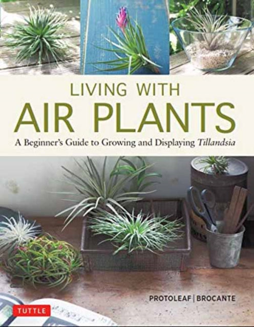 Binding: Hardcover
Description: Living with Air Plants is the perfect introduction to the world of Tillandsia and the many ways they can be used to design and upgrade your home or work space.