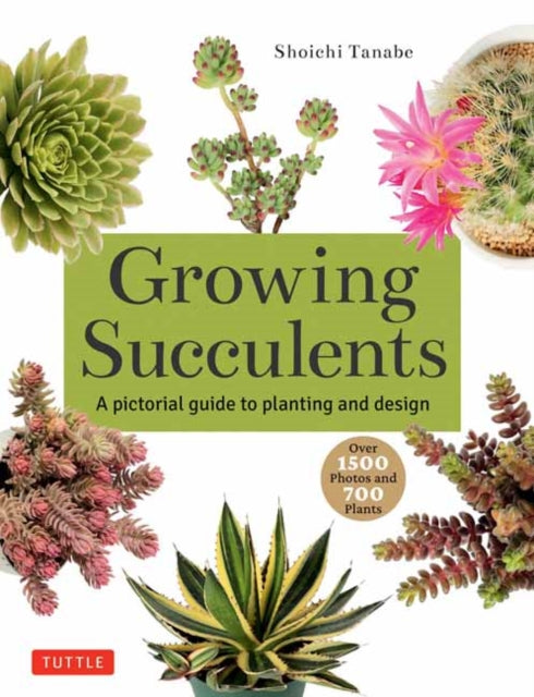 Binding: Paperback
Description: An invaluable reference for beginners and experienced enthusiasts alike! Beginners will love this book for its pictorial and concise approach to growing grouping and caring for succulents and cacti to make them thrive.