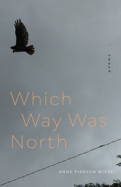 Binding: Paperback
Description: In Which Way Was North Anne Pierson Wiese juxtaposes poems from her years living in New York City with work written after her relocation to South Dakota.