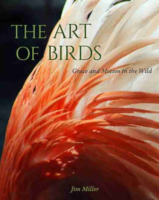 Binding: Hardcover
Description: In photographs that surprise with their eye - catching composition and amaze with their detail The Art of Birds captures the beauty of birds as most people never see them.