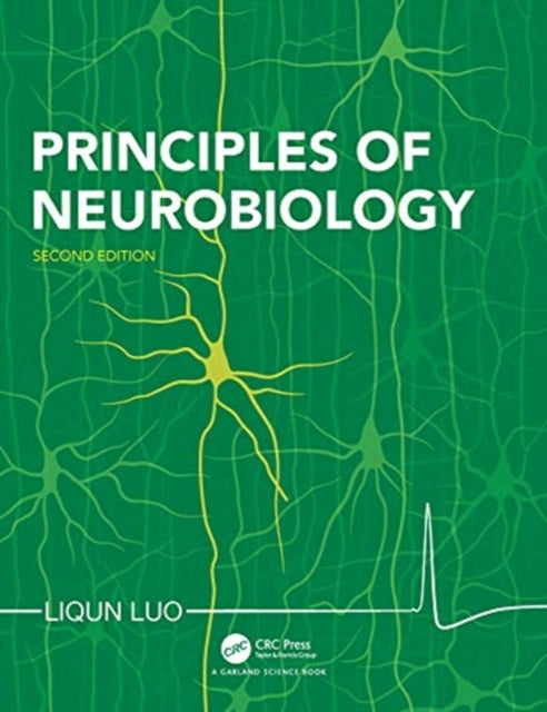 Binding: Paperback
Description: Principles of Neurobiology Second Edition presents the major concepts of neuroscience with an emphasis on how we know what we know.