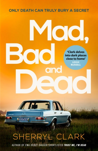 Binding: Paperback
Description: A dead employee. A missing child. Anonymous phone calls in the dead of night.