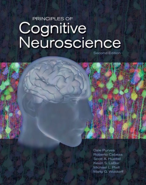 Binding: Hardcover
Description: Published by Sinauer Associates an imprint of Oxford University Press. The new and rapidly evolving field of cognitive neuroscience brings together cognitive psychology and neuroscience drawing conceptual and technical elements from both these traditional disciplines.