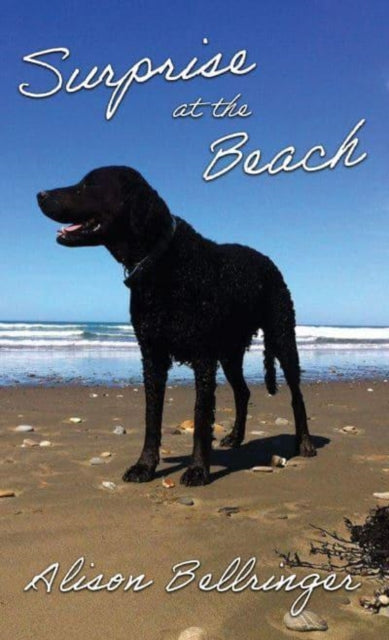 Binding: Paperback
Description: Select Guide Rating
Title: Surprise At The Beach
Author(s): Bellringer Alison
Publisher: Austin Macauley Publishers
Barcode: 9781035803569
Pages: 54 Pages, 0
Publication Date: 11/30/2022
Category: Animal Stories (Children's / Teenage)