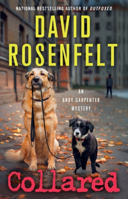 Rosenfelt David - Collared An Andy Carpenter Mystery - Paperback