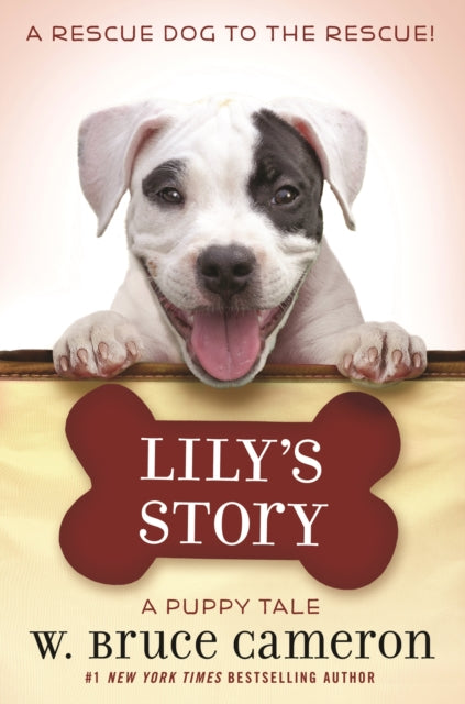Binding: Hardcover
Description: Lily's Story is another charming heartfelt story in the bestselling Puppy Tales middle grade series by #1 New York Times bestselling author of A Dog's Purpose W. Bruce Cameron! A rescue dog to the rescue! Lily is the smallest puppy in her litter and the only girl.