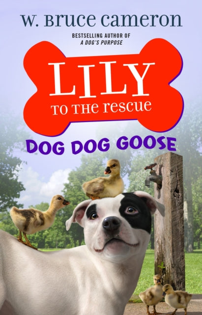 Binding: Paperback
Description: Lily to the Rescue: Dog Dog Goose is part of an irresistible chapter book series from the New York Times bestselling author of A Dog's Purpose Puppy Tales featuring Lily a rescue dog who rescues other animals! Lily lives with her girl Maggie Rose.