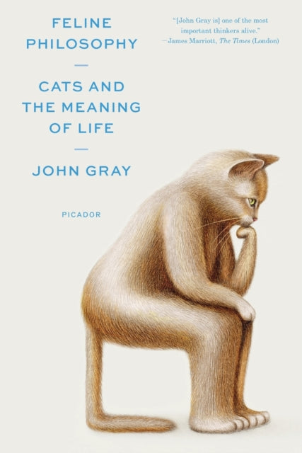 Binding: Paperback
Description: The author of Straw Dogs famous for his provocative critiques of scientific hubris and the delusions of progress and humanism turns his attention to cats and what they reveal about humans torturous relationship to the world and to themselves.