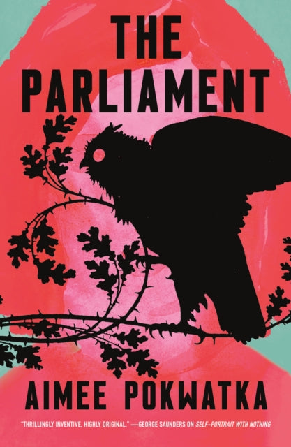 Binding: Hardcover
Description: The Birds meets The Princess Bride in this tale of friendship responsibility and the primal force of nature. Murder owls are extreme Jude said. What's more extreme than murder owls? Madigan Purdy is stuck in her home town library.