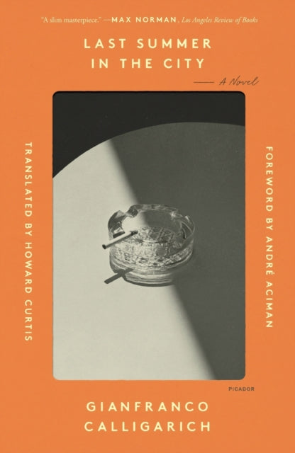 Binding: Paperback
Description: The first novel from award - winning author Gianfranco Calligarich to be published in English Last Summer in the City is a witty and despairing classic of Italian literature.