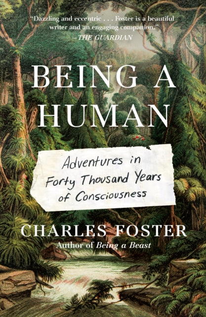 Foster Charles - Being A Human Adventures In Forty Thousand Years Of Consciousness - Paperback