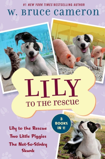 Binding: Paperback
Description: Discover #1 New York Times bestselling author W. Bruce Cameron's Lily to the Rescue chapter book series in this bind - up of Lily's first three adventures.
