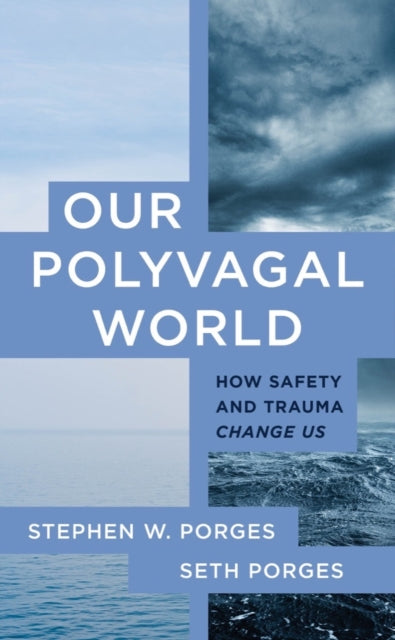 Binding: Paperback
Description: The creator of the Polyvagal Theory explains the principles in simple terms that are accessible to all.