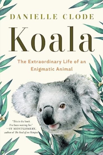 Clode Danielle - Koala The Extraordinary Life Of An Enigmatic Animal - Paperback