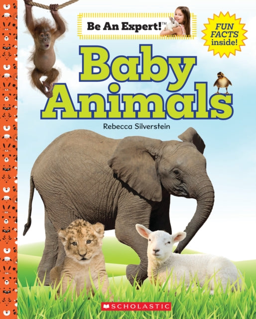 Binding: Hardcover
Description: What do you know about baby animals like the lion cub the kangaroo joey and the rabbit kit? With this book you can become an expert! Baby lions are called cubs. Baby penguins are called chicks.