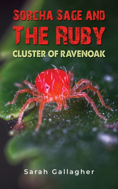 Binding: Paperback
Description: Select Guide Rating
Title: Sorcha Sage And The Ruby Cluster Of Ravenoak
Author(s): Gallagher Sarah
Publisher: Austin Macauley Publishers
Barcode: 9781398486393
Pages: 70 Pages, 0
Publication Date: 3/31/2023
Category: Adventure
