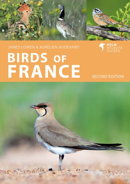 Binding: Paperback
Description: The definitive photographic guide to the amazing avifauna of France.