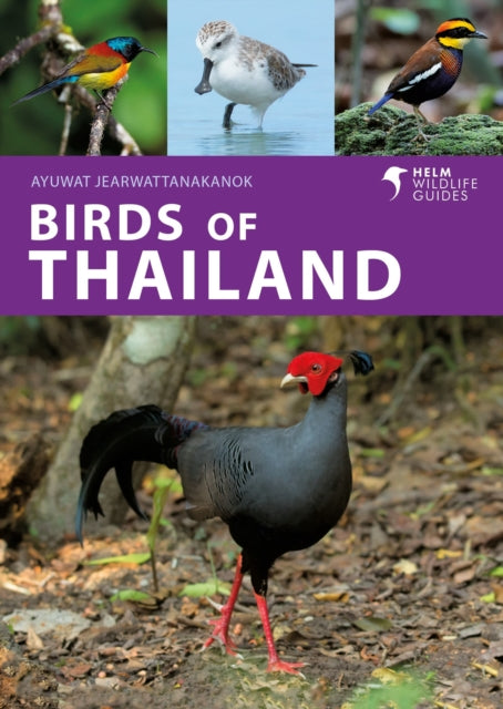 Binding: Paperback
Description: The perfect pocket - friendly guide to the amazing avifauna of Thailand. Boasting a fantastic diversity of habitats ranging from high mountain peaks to extensive mudflats Thailand is one of the top birding destinations in South - east Asia.