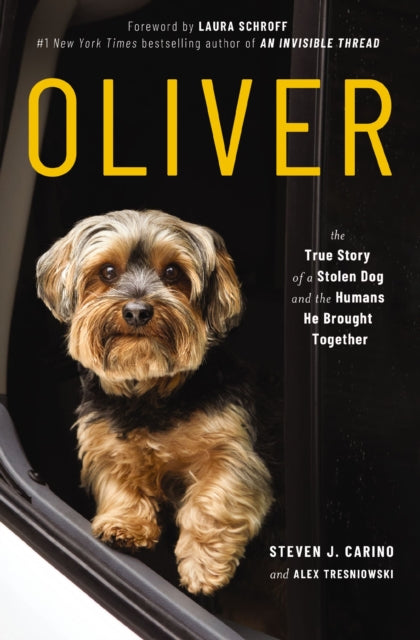 Binding: Paperback
Description: He Was Searching for a Lost Dog. He Found More Than He d Ever Hoped For. On Valentine's Day 2019, someone stole Steven Carino's dog Oliver from his car. Having lost his mother at thirteen and grown up with an alcoholic father he could always count on his dogs for comfort and company.