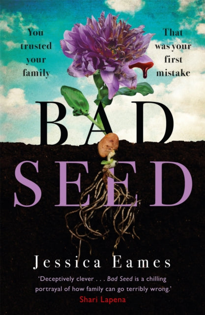 Bad Seed A Chilling Thrilling Family Drama For Fans Of Shari Lapena