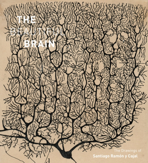 Binding: Hardcover
Description: At the crossroads of art and science The Beautiful Brain presents Nobel Laureate Santiago Ram n y Cajal's contributions to neuroscience through his groundbreaking artistic brain imagery. Among the world's greatest scientific illustrations .