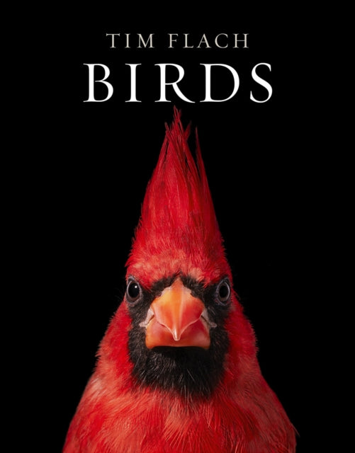 Binding: Hardcover
Description: Birds of the world are portrayed in all their colorful glory by Tim Flach the world's leading animal photographer. Radiating grace intelligence and humor and always in motion birds tantalize the human imagination.