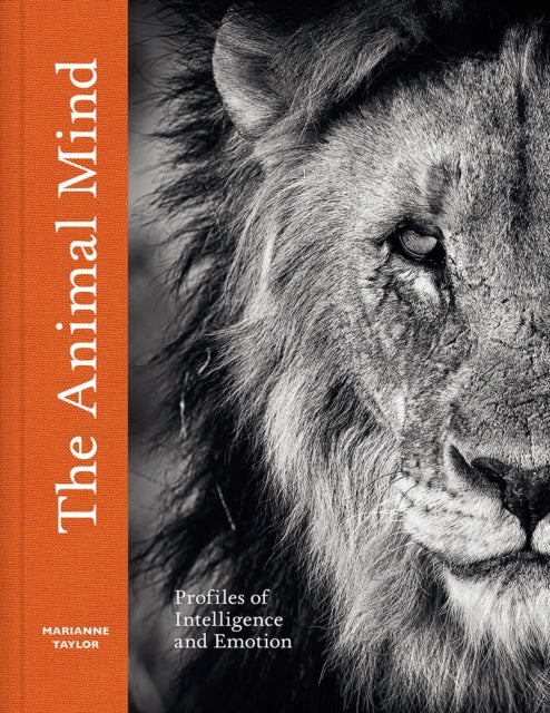 Binding: Hardcover
Description: Nature author Marianne Taylor's The Animal Mind is a fascinating exploration of animal intelligence and emotion with thought - provoking essays surprising insights and breathtaking images by leading photographers Joel Sartore Melissa Groo Peter Delaney and others.