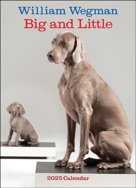 Binding: Calendars
Description: This delightful 12 - month wall calendar features 13 enchanting photographs of Weimaraner dogs and puppies by well - known artist William Wegman. William Wegman's charming portraits of his Weimaraner dogs have delighted art fans and pet lovers for decades.