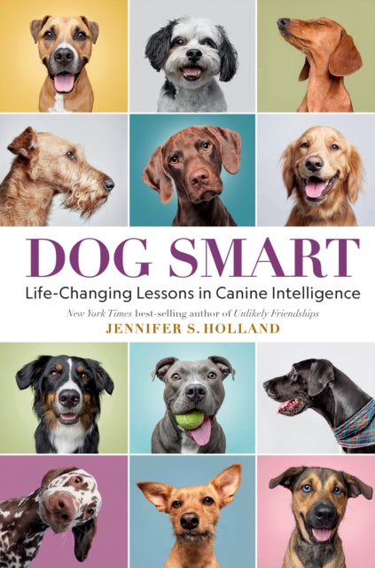 Binding: Hardcover
Description: This cutting - edge science narrative chock - full of heartwarming case studies is one woman's quest to learn the true meaning of dog intelligence.
Title: Dog Smart Life - Changing Lessons In Canine Intelligence
Author(s): Holland Jennifer S.