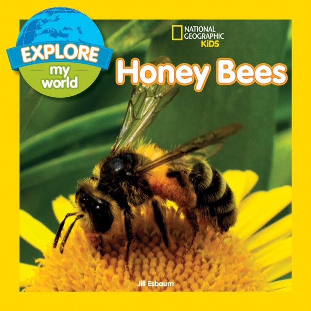 Binding: Paperback
Description: In this charming picture book curious little kids will learn all about the bustling world of honeybees and the important role they play in our delicate ecosystem.