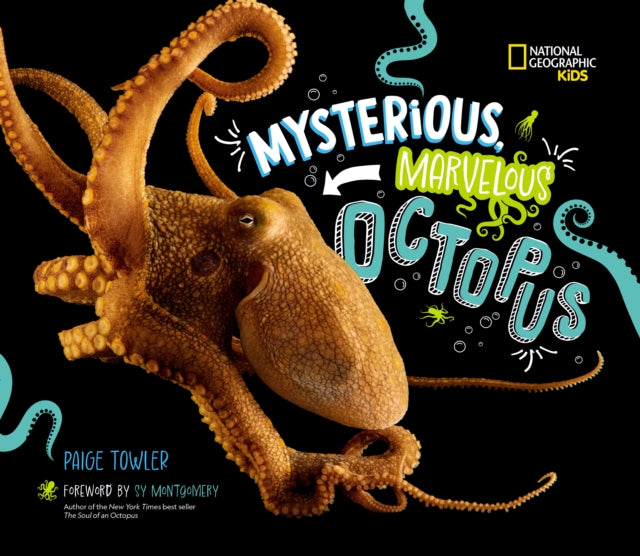 Binding: Hardcover
Description: Select Guide Rating
Title: Mysterious Marvelous Octopus!
Author(s): Towler Paige
Publisher: National Geographic Kids
Barcode: 9781426376672
Pages: 48 Pages
Publication Date: 3/19/2024
Category: Natural History (Children's / Teenage)