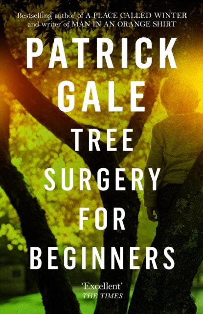 Binding: Paperback
Description: From the bestselling author of A Place Called Winter TREE Surgery FOR Beginners is a funny elegant and eclectic novel of love lies and the secrets we live with A very funny often sad erudite eclectic novel writ with style.