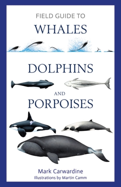Carwardine Mark - Field Guide To Whales Dolphins And Porpoises - Paperback