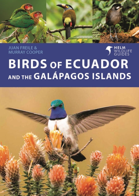 Binding: Paperback
Description: A portable and authoritative guide to birds of Ecuador. For sheer diversity of birds Ecuador cannot be beaten. Nowhere else is it as easy to experience such a range of habitats from the high Andes to the Amazon and Choc rainforests and those jewels in the ocean the Gal pagos Islands.