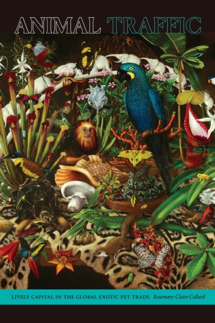 Binding: Paperback
Description: Parrots and snakes wild cats and monkeys - - - exotic pets can now be found everywhere from skyscraper apartments and fenced suburban backyards to roadside petting zoos.