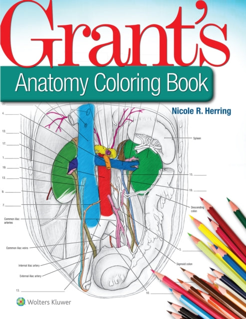 Binding: Paperback
Description: Master anatomy by coloring it in!" Grant's Anatomy Coloring Book uses an interactive approach to help students deepen and reinforce their anatomical knowledge.