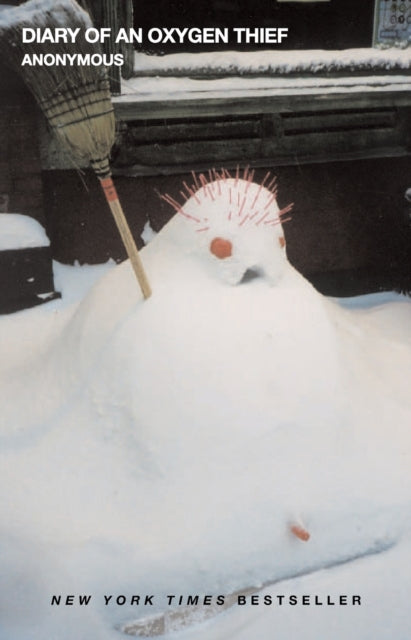 Binding: Paperback
Description: Hurt people hurt people. Say there was a novel in which Holden Caulfield was an alcoholic and Lolita was a photographer's assistant and somehow they met in Bright Lights Big City. He's blinded by love. She by ambition.