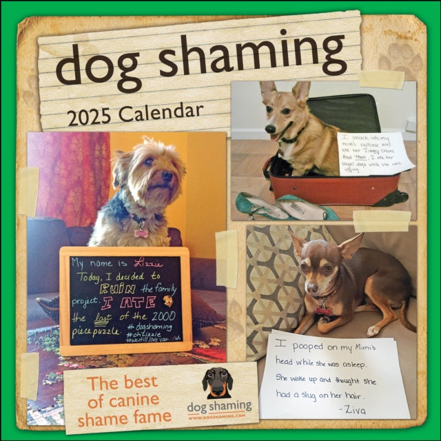 Binding: Calendars
Description: If you consider yourself a dog person you'll surely relate to the exasperating hilarity found in each monthly spread of this 12 - month calendar.