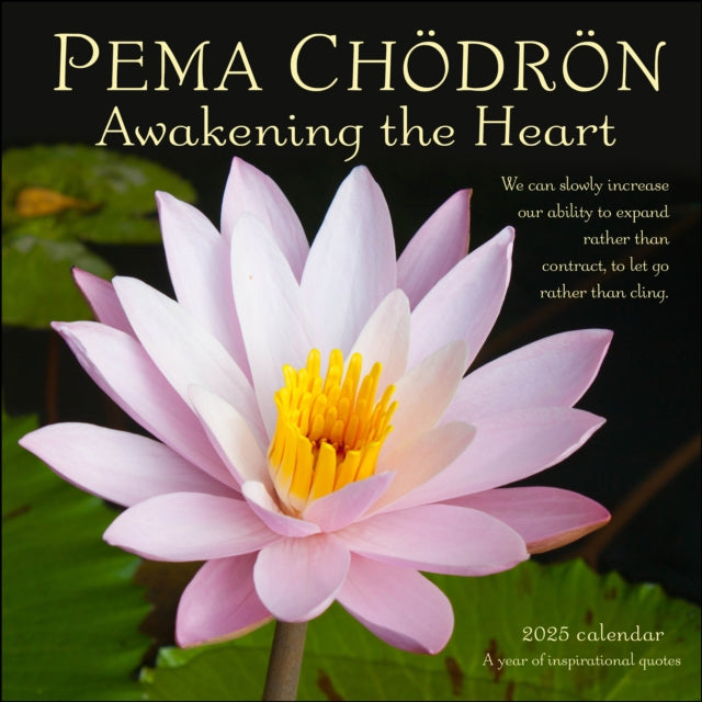 Binding: Calendars
Description: American Buddhist nun and bestselling author Pema Ch dr n is a leading proponent of teachings on meditation and how they apply to everyday life. She is widely known for her engaging and down - to - earth interpretation of Tibetan Buddhism for Western audiences.