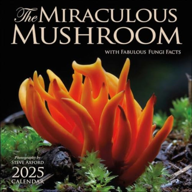 Binding: Calendars
Description: You'll learn fascinating fungi facts as you savor the artful portrayals of the diverse marvels of nature featured in The Miraculous Mushroom 2025 Wall Calendar.