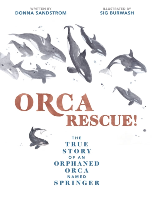 Binding: Hardcover
Description: In 2002, a young orca was spotted alone in Puget Sound near Seattle - lost starving and 300 miles away from her home waters in Canada. Donna Sandstrom an orca enthusiast in Seattle eagerly joined the volunteer effort to help.
