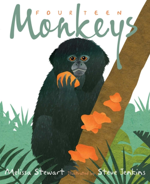 Binding: Hardcover
Description: Travel to a tropical rainforest where fourteen species of monkeys live in harmony in this playful fact - filled book from award - winning author Melissa Stewart and Caldecott honoree Steve Jenkins.