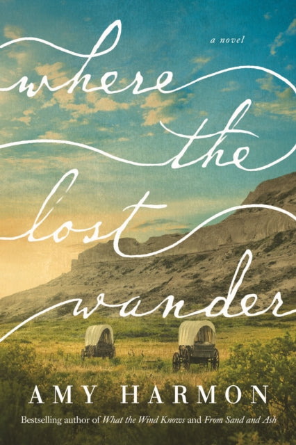 Binding: Paperback
Description: In this epic and haunting love story set on the Oregon Trail a family and their unlikely protector find their way through peril uncertainty and loss. The Overland Trail 1853: Naomi May never expected to be widowed at twenty.