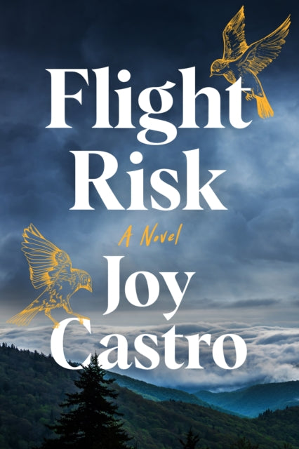 Binding: Paperback
Description: A woman is forced to face her past in a heartbreaking and triumphant novel of old wounds and family secrets by award - winning author Joy Castro. Isabel Morales is a successful Chicago sculptor hiding a brutal family history one not even her husband knows.