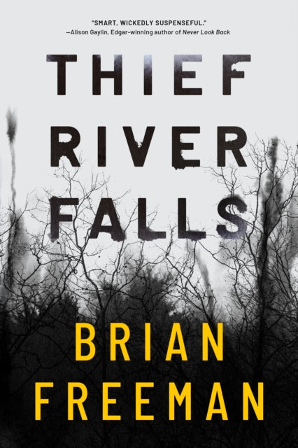 Binding: Paperback
Description: Harrowing loss psychological trauma and a deadly mystery test the human will to survive in this electrifying novel from award - winning author Brian Freeman. Lisa Power is a tortured ghost of her former self.