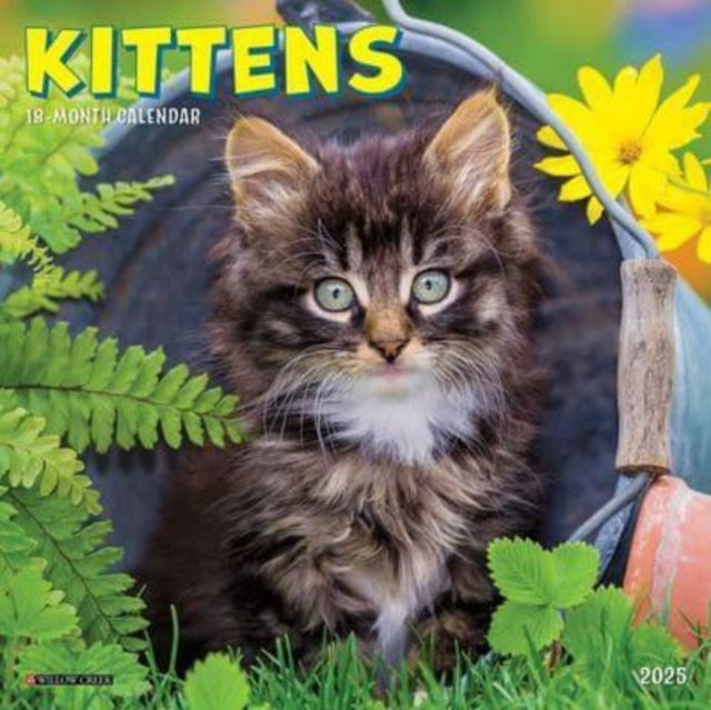 Binding: Calendars
Description: Select Guide Rating
Title: Kittens 2025 7 X 7 Mini Wall Calendar
Author(s): Willow Creek Press
Publisher: Willow Creek Press Calendars
Barcode: 9781549245848
Publication Date: 8/1/2024
Category: Cats As Pets