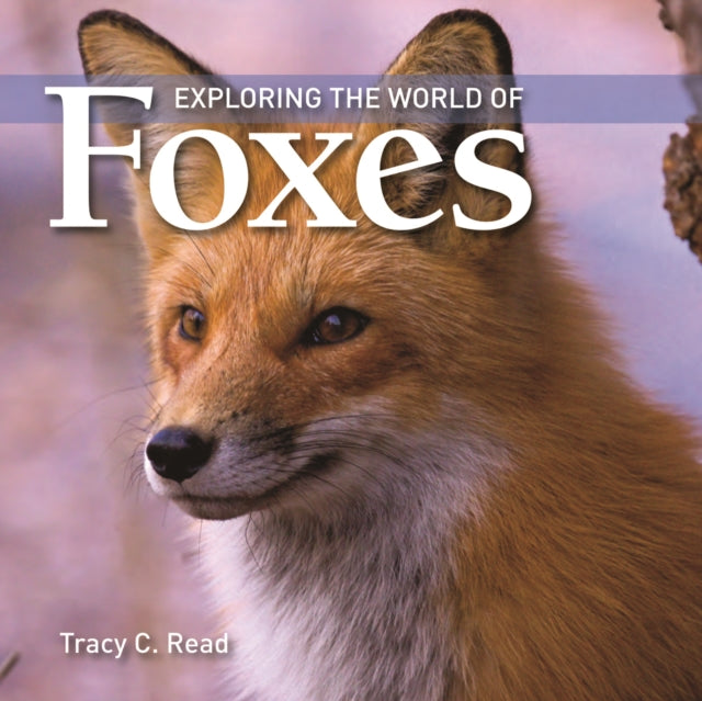 Binding: Paperback
Description: Clear text in large type and vivid photographs with explanatory captions describe foxes physical attributes and storylike narratives about their daily life.
Title: Exploring The World Of Foxes
Author(s): Read Tracy C.