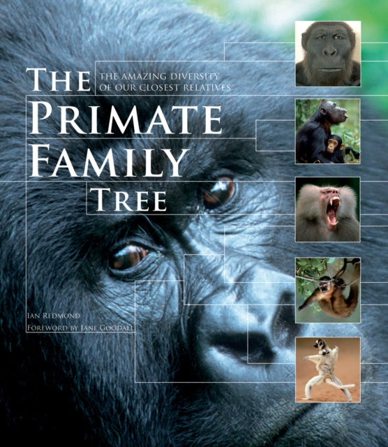 Binding: Paperback
Description: A beautiful and comprehensive illustrated resource on the diverse natural history of our closest animal relatives: apes monkeys and lemurs.