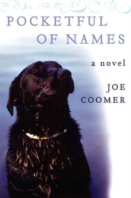 Binding: Paperback
Description: " Coomer is clearly an author of serious talent.